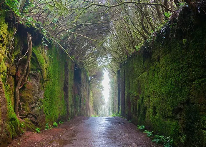 Appartement Marina Secreta