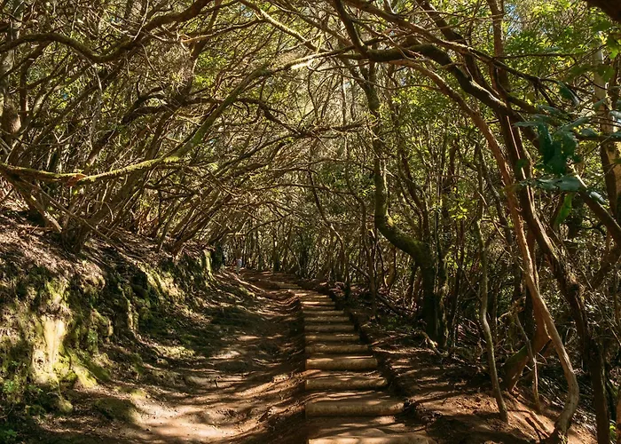 Lejlighed Marina Secreta